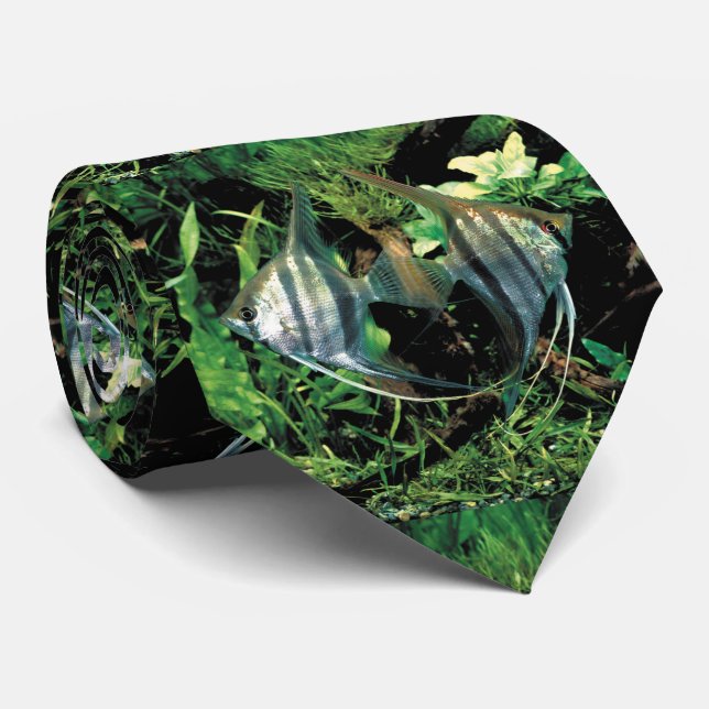 Cravate poisson-ange 2 (Roulé)