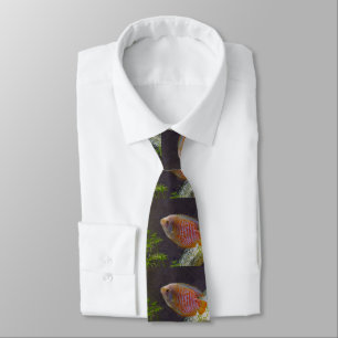 Cravate Poisson nain Gourami