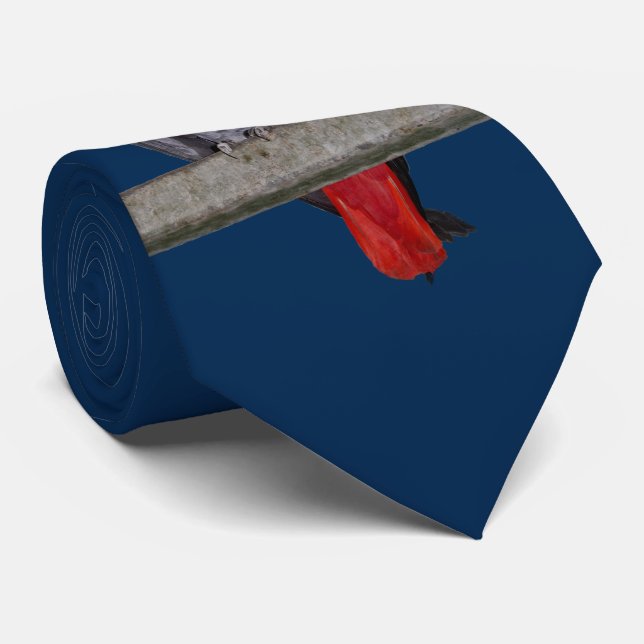 Cravate Polly Tie Double Face Couleur (Navy) (Roulé)