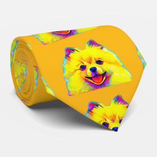 Cravate Pomeranian en couleurs