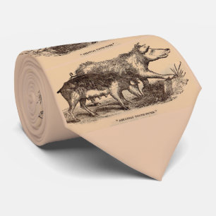 Cravate Porcs posters de animaux de ferme du 19e siècle