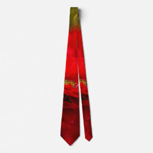 Cravate principal de la branche de province