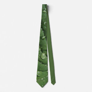 Cravate Raindrings sur Hosta Leaf Necktie