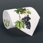 Cravate raisin Brachetto par Giorgio Gallesio<br><div class="desc">Raisin de Brachetto (Vitis vinifera niceaensis) de Pomona Italiana (1817 - 1839) par Giorgio Gallesio (1772-1839). Original de la New York Public Library. Cravate pour un végétalien et végétarien ! Un cadeau cool pour lui !</div>