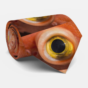 Cravate Rockfish Eye