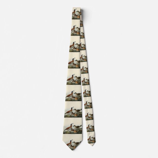 Cravate Ruddy Duck de John Audubon's Birds of America (Devant)