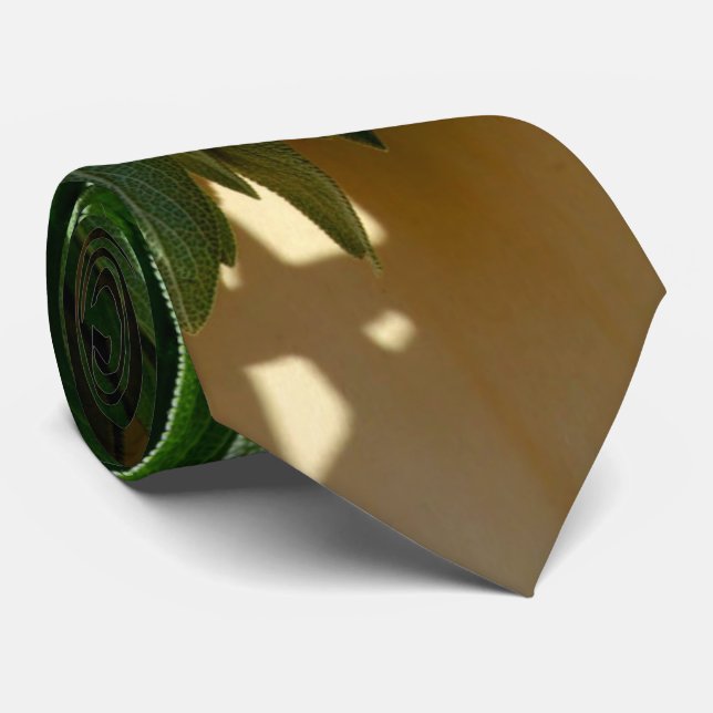 Cravate Sage frais coupé (Roulé)