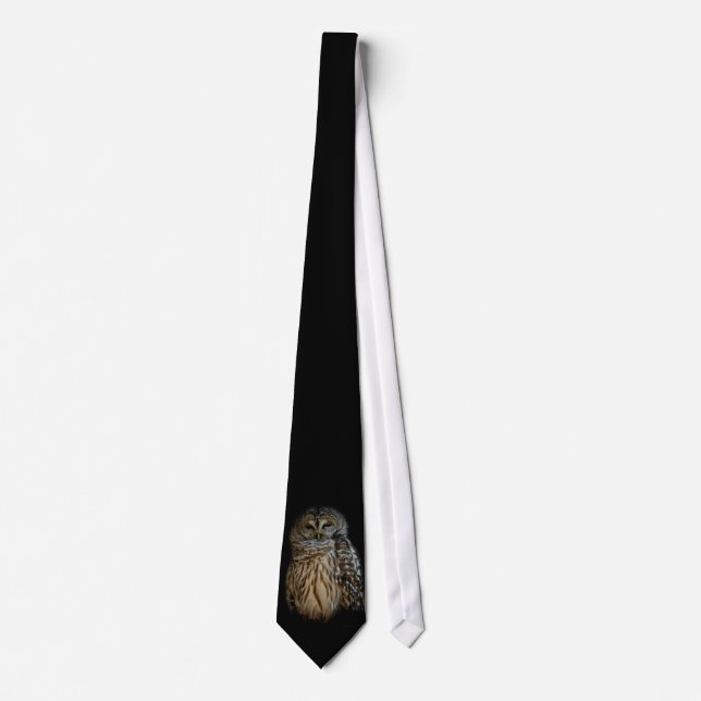 Cravate Sleepy Owl Tie (Devant)