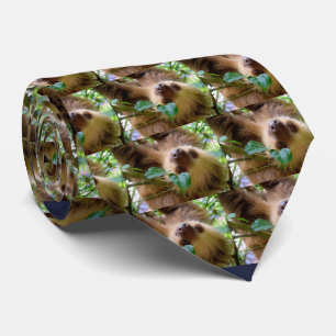 Cravate Sloth