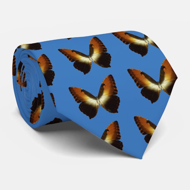 Cravate Sunset Morpho (Morpho hecuba) (Roulé)
