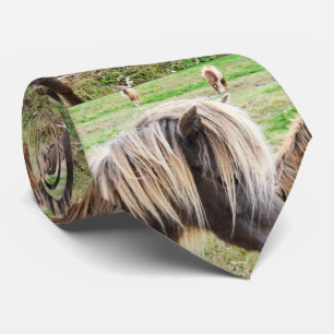 Cravate Tan Coloré Shetland Pony,