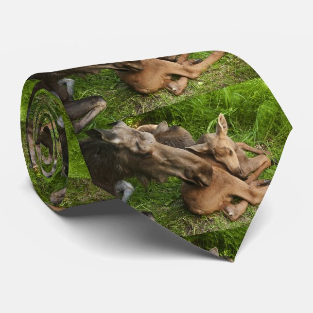Cravate Tendre Mère Moose (Roulé)