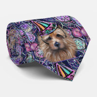 Terrier Australien  