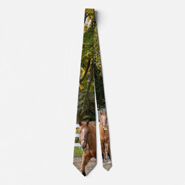 Cravate Tie pour homme Quarter Horse (Devant)