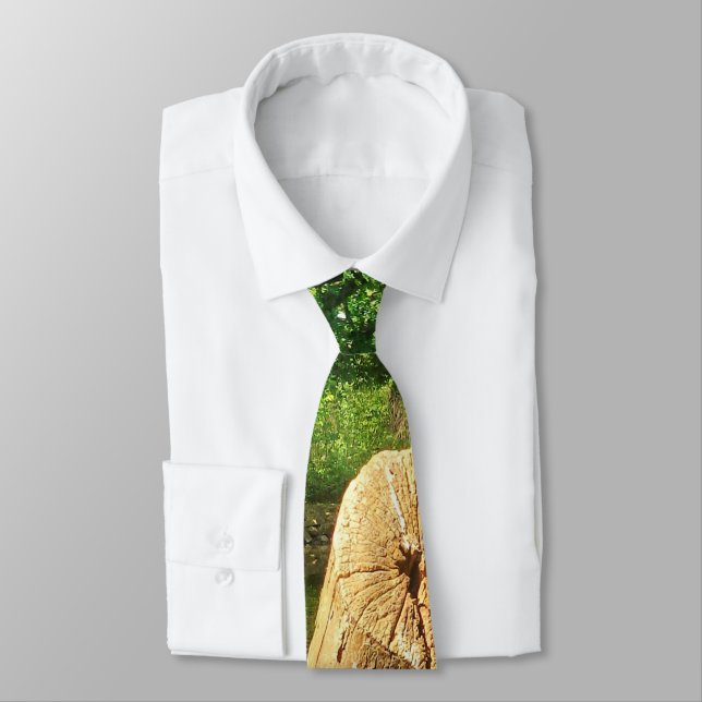 Cravate Tree Trunk Nature Photographie Parc du lac (Attaché)