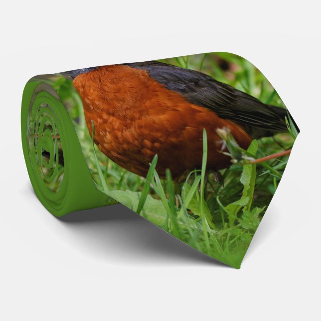 Cravate Un Curieux Robin Américain (Roulé)