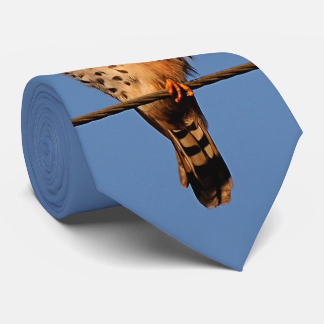 Cravate Un Kestrel Américain sur un fil (Roulé)