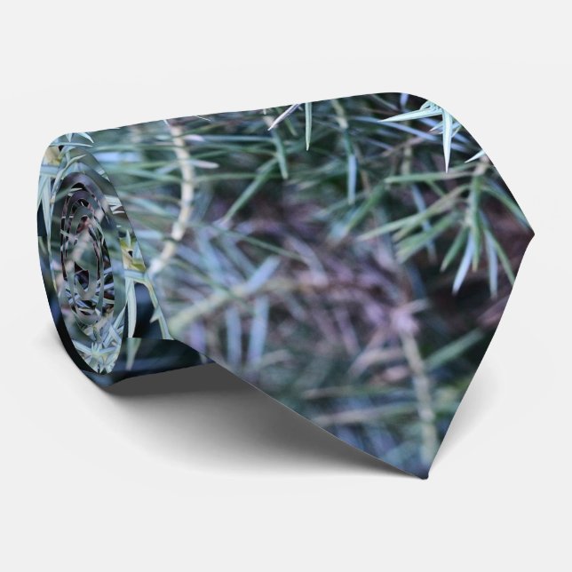 Cravate Un tir étroit de genévrier (Roulé)