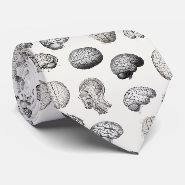 Cravate Vintage Brain Anatomy Biology Illustrations (Roulé)