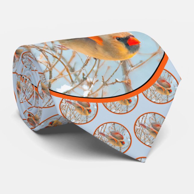 Cravate Vol Cardinal Nord - Photo originale (Roulé)