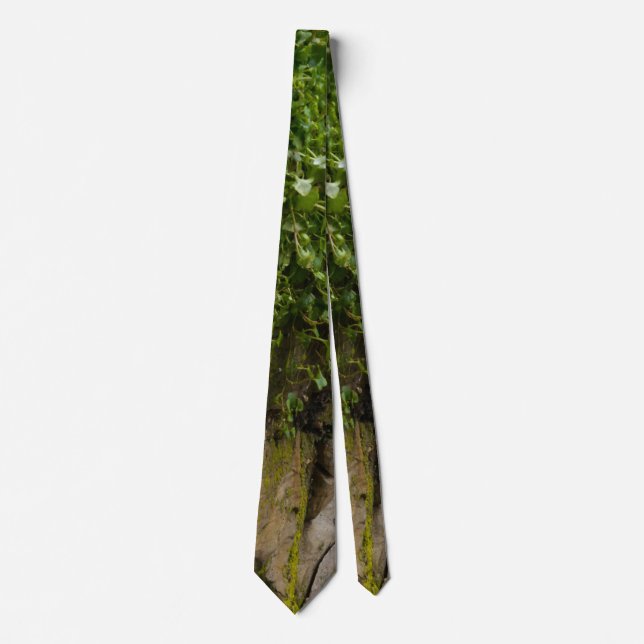 Cravate Wall Of Ivy Neck Tie (Devant)