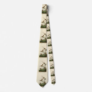 Cravate Winter Wren, Rock Wren, Audubon's Birds of America