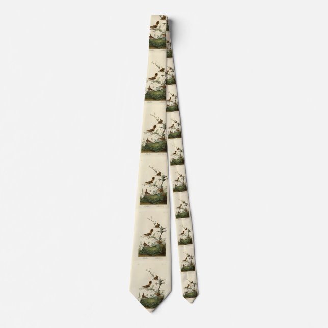 Cravate Winter Wren, Rock Wren, Audubon's Birds of America (Devant)