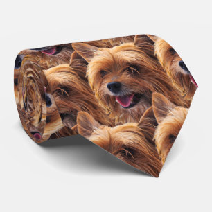 Cravate Yorkie Dog