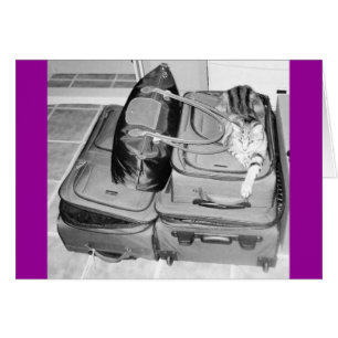 Crayon Indigo Voyager