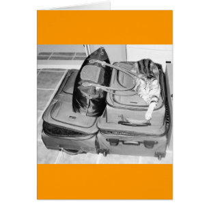 Crayon Indigo Voyager