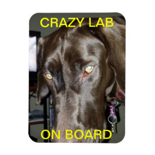 Crazy Lab Sur Le Magnet De Bord