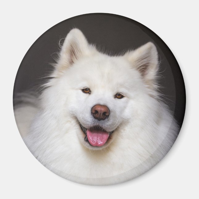 CRB Smiling Magnet (Devant)