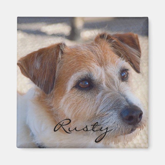 Create your own photo magnet (Devant)