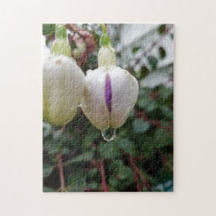 Creative bud fuchsia flower photo jigsaw puzzle