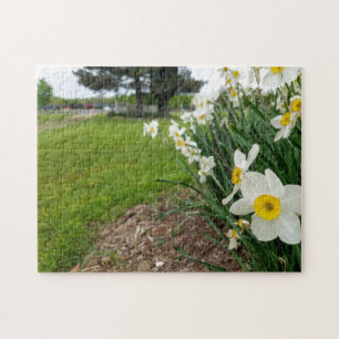 Creative white daffodique photo jigsaw puzzle