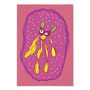 Creator dream Swimmer Kodak Professional Photo