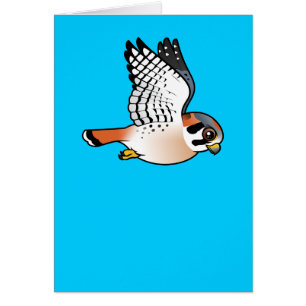 Crécerelle américaine en vol