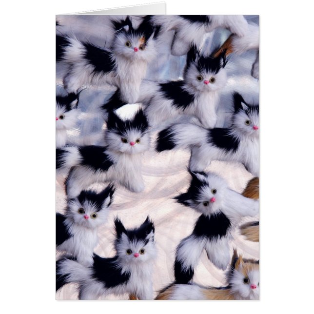 creepy cats (Devant)