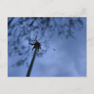 Créer une carte postale