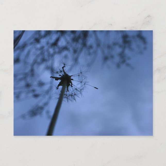 Créer une carte postale (Devant)