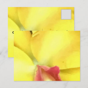 CRÉEZ VOS PROPRES CARTES POSTALES