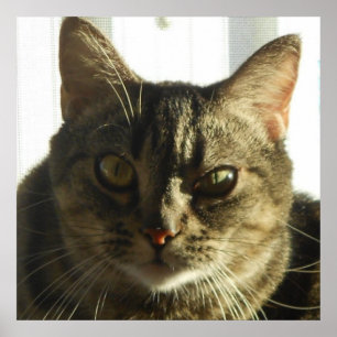 Créez votre propre affiche de 24 po x 24 po