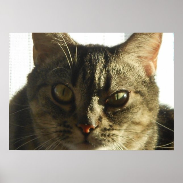 Créez votre propre affiche de 28 po x 20 po (Devant)