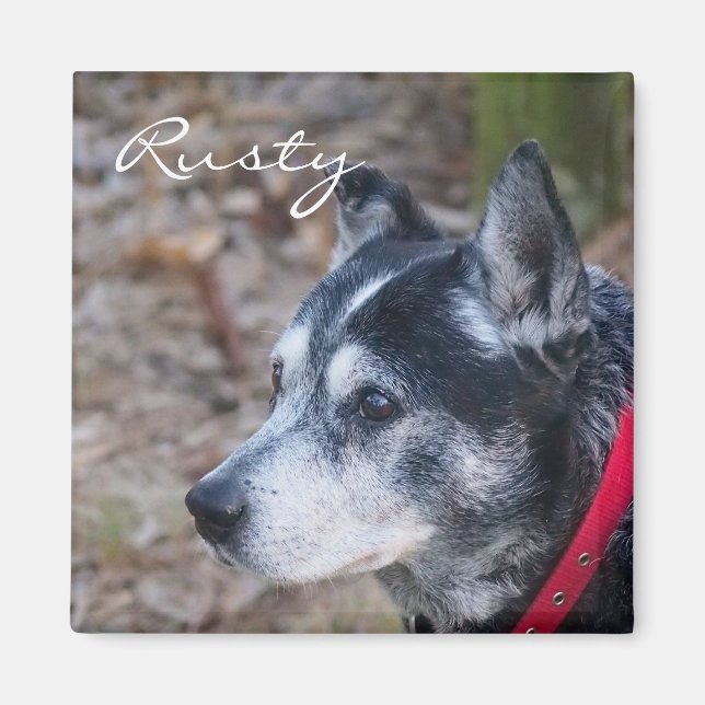 Créez votre propre aimant familier (Devant)