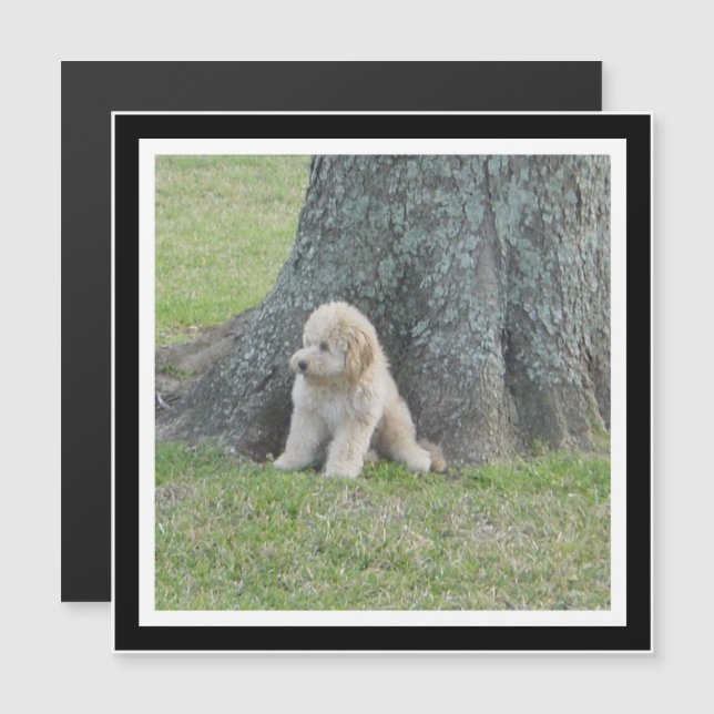 Créez votre propre aimant photo Carré noir et blan (Devant / Derrière)