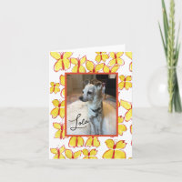 Créez votre propre carte photo encadrée pour amour