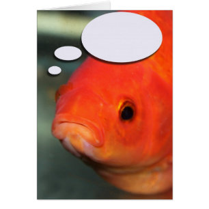 Créez votre propre légende, poisson rouge