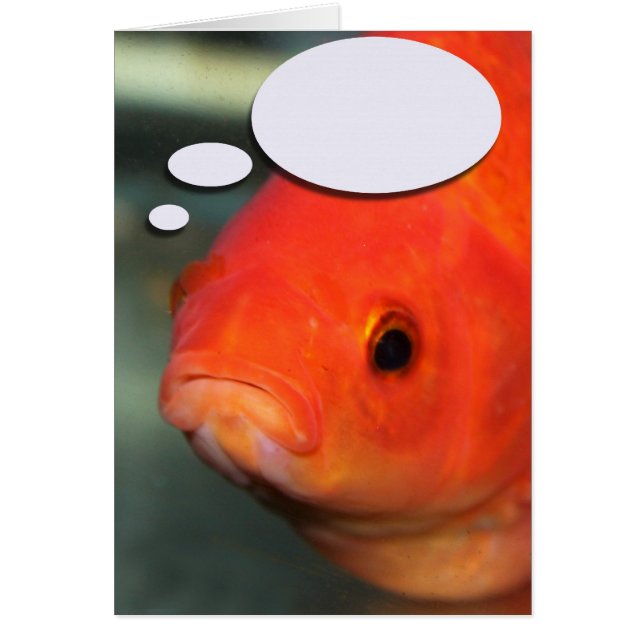 Créez votre propre légende, poisson rouge (Devant)