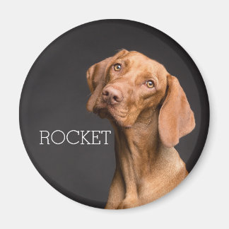 Créez Votre Propre Magnet de Photo d'Animal de Com