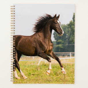 Créez Votre Propre Photo de Cheval de Compagnie Pe